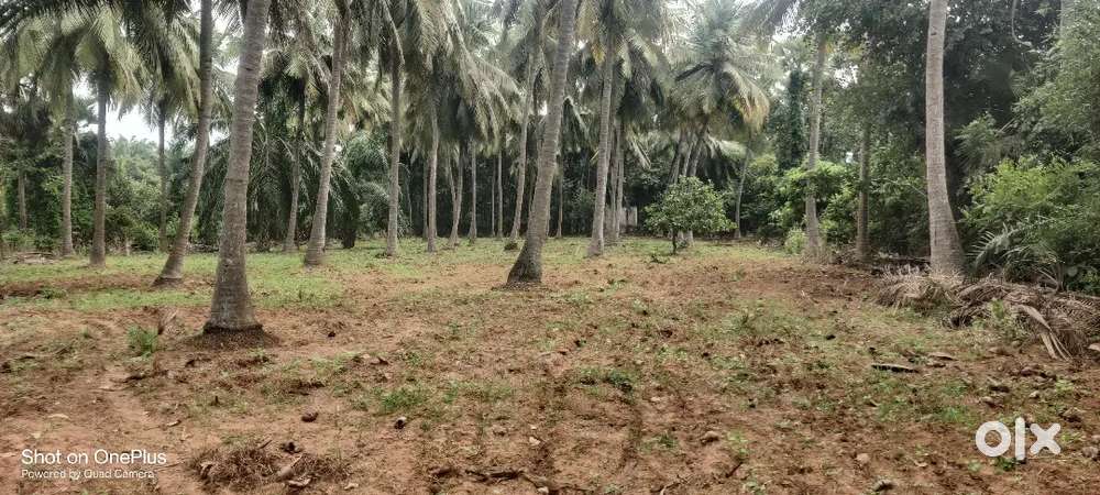 Complex to land place distance 10km