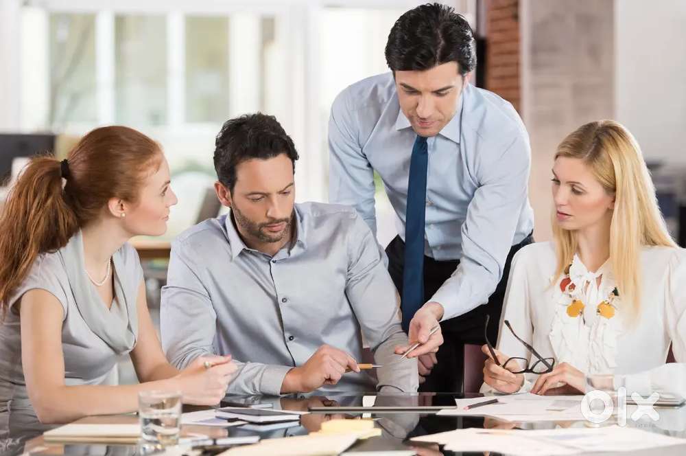TEAM LEADER  (Bank collection)
