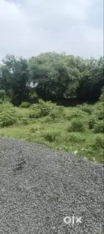 RESIDENTIAL PLOT TP 8 BEHIND PVR CINEMA
