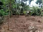 4 cent plot for sale at karakulam