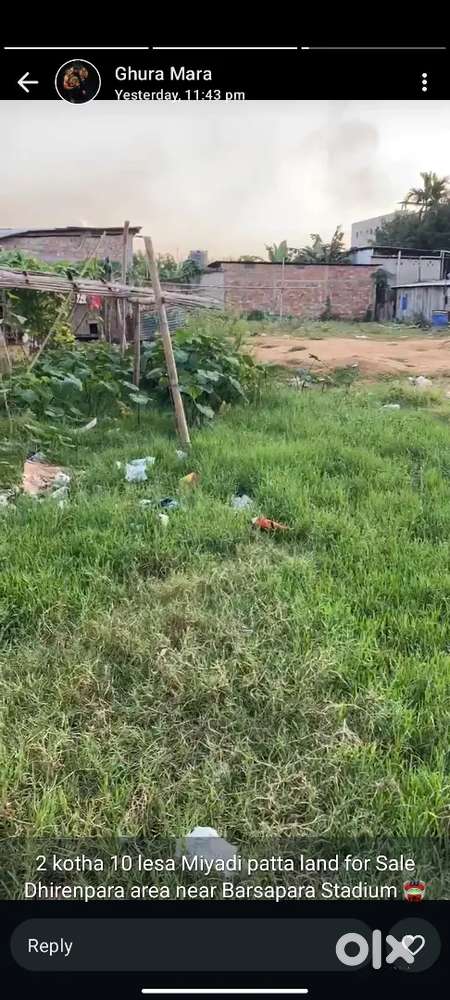 2khota 5lesa miydi patta