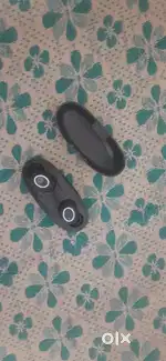Bazzpod bean