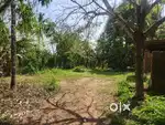 46 cent Residencial Land Kolangattukara Thrissur