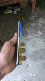 Samsung s10 plus