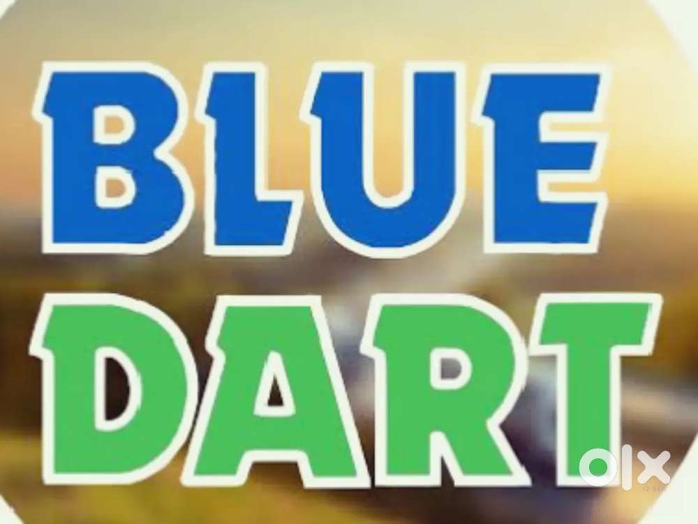 Delivery staff BLUEDART