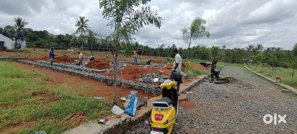 ANGAMALY THURAVOOR JUNCTION NEAR BY 5,6,8, 10 CENT PLOTS AVAILABLE