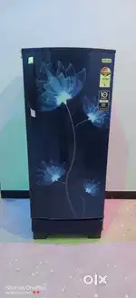 Fridge single door