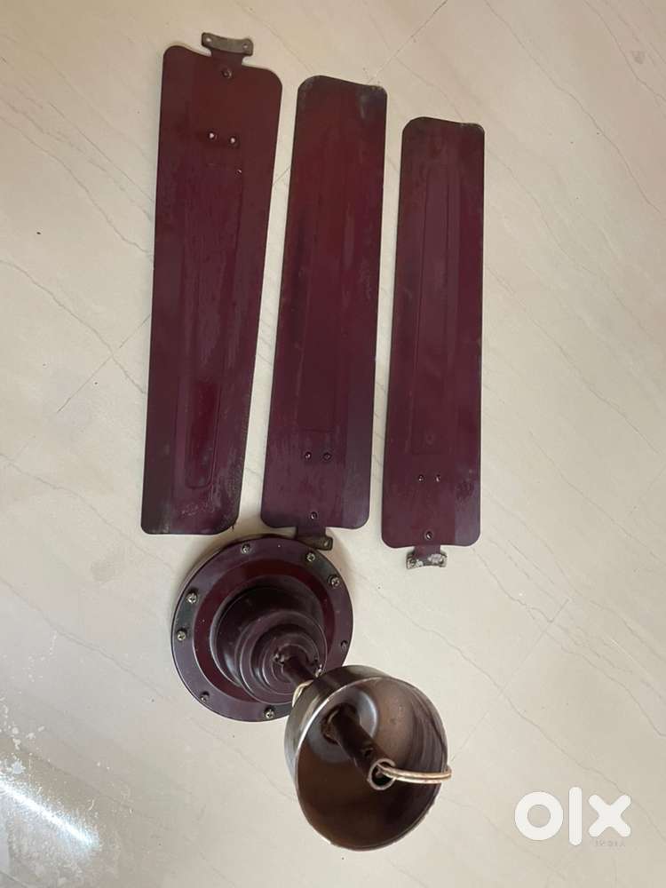 Celing Fan for sale