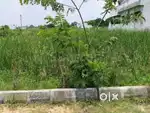 Plot resale in a Gated community, Avadi corporation