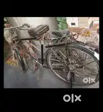 Kross cycle new 6 month old only