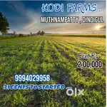 Farm land sale - special offer