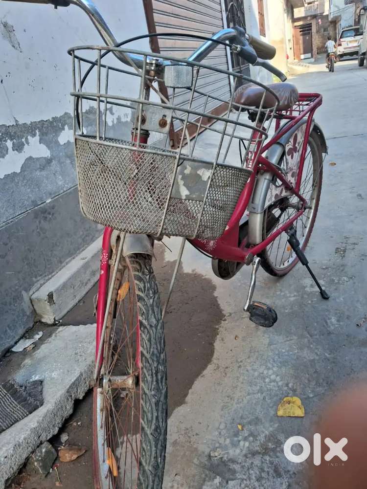 Cycle lady