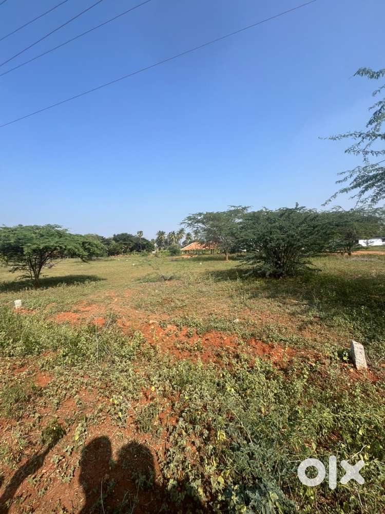 Low Budget Land for Sale near Odhimalai
