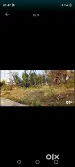 11 Marla land for sale near nagrota