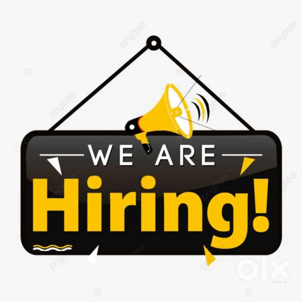 JOBS OPENING IN DATA ENTRY OPERATOR & BACK OFFICE ASSISTANT