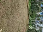 Kolankodu plot for sale
