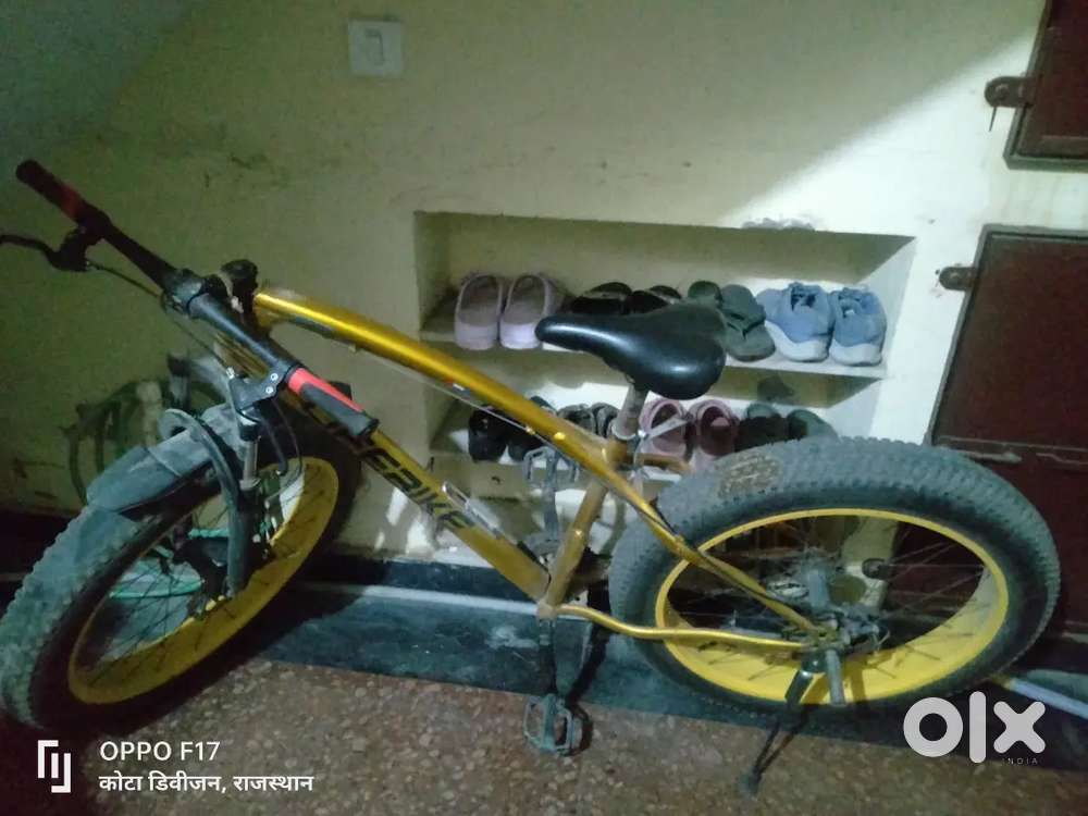 golden colour of cycle