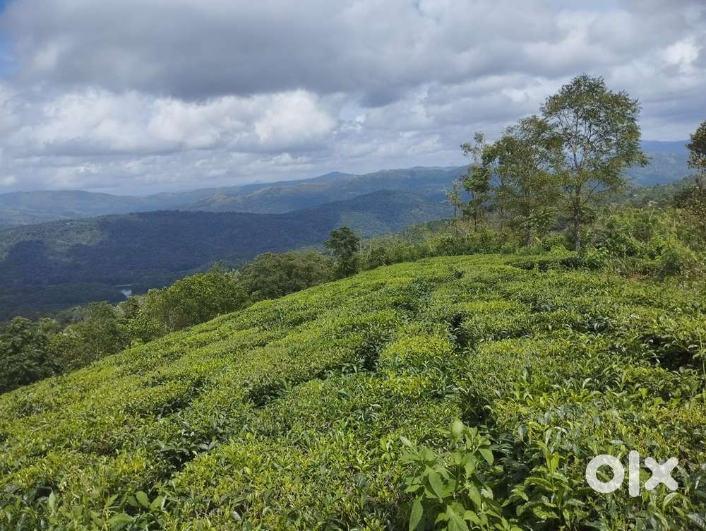 75cent LA Pattayam for sale near vagamaon affordable price