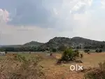 Agricultural land available for sale 1 crore per acre
