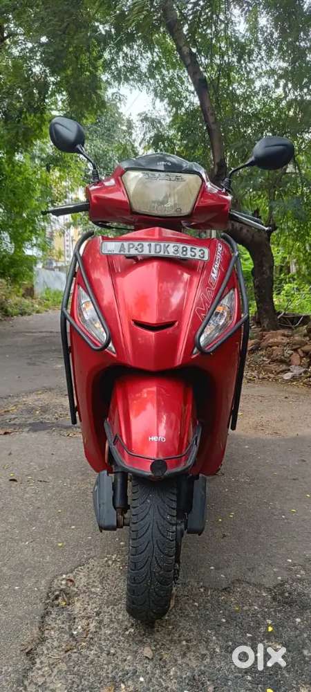 Maestro  good condition