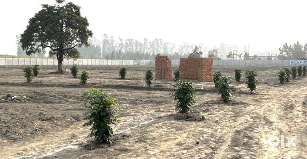 Premium plots & cottages are available,Size 100sq/yd,120sq/yd,200sq/yd