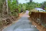 12cents Two Residential Plot in Pinarayi,
