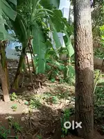 PLOT FOR SALE EB COLONY