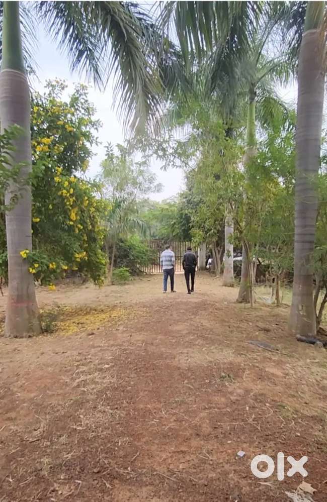 Farmhouse For near Mahanadi