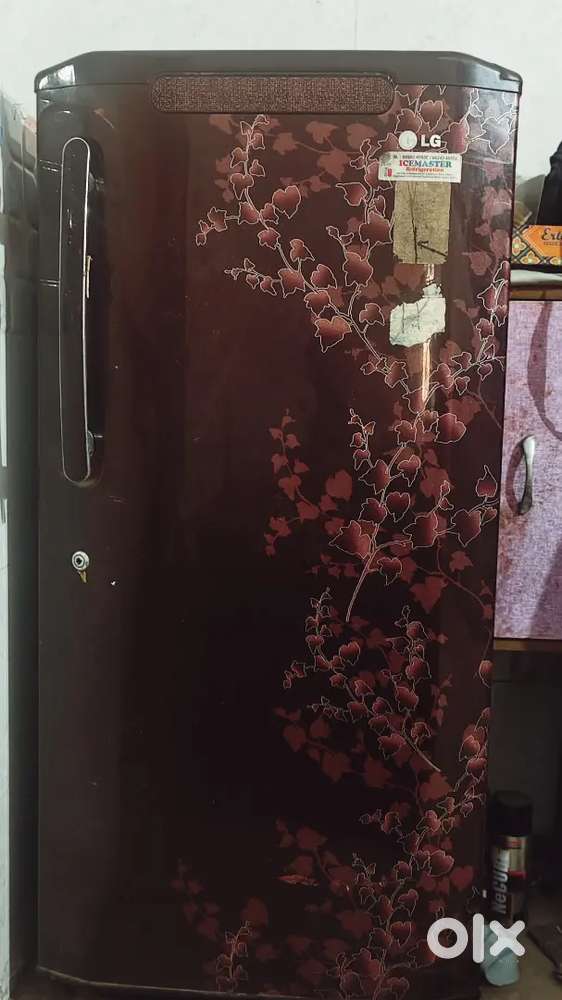 LG fridge 5 star