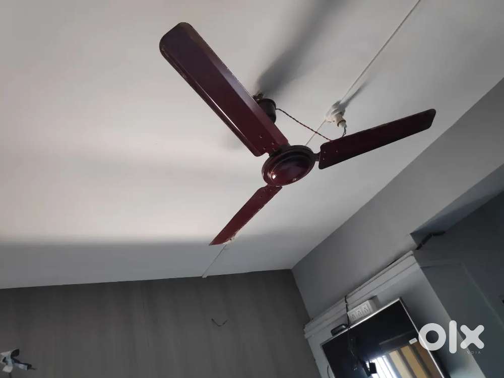 Ceilling Fan Wholesale