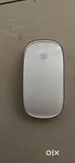 Apple mouse