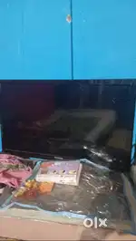 4 year old