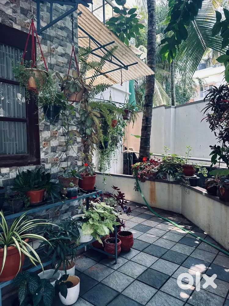 Beautiful 4 BHK house for rent kovoor.price50000 per month.