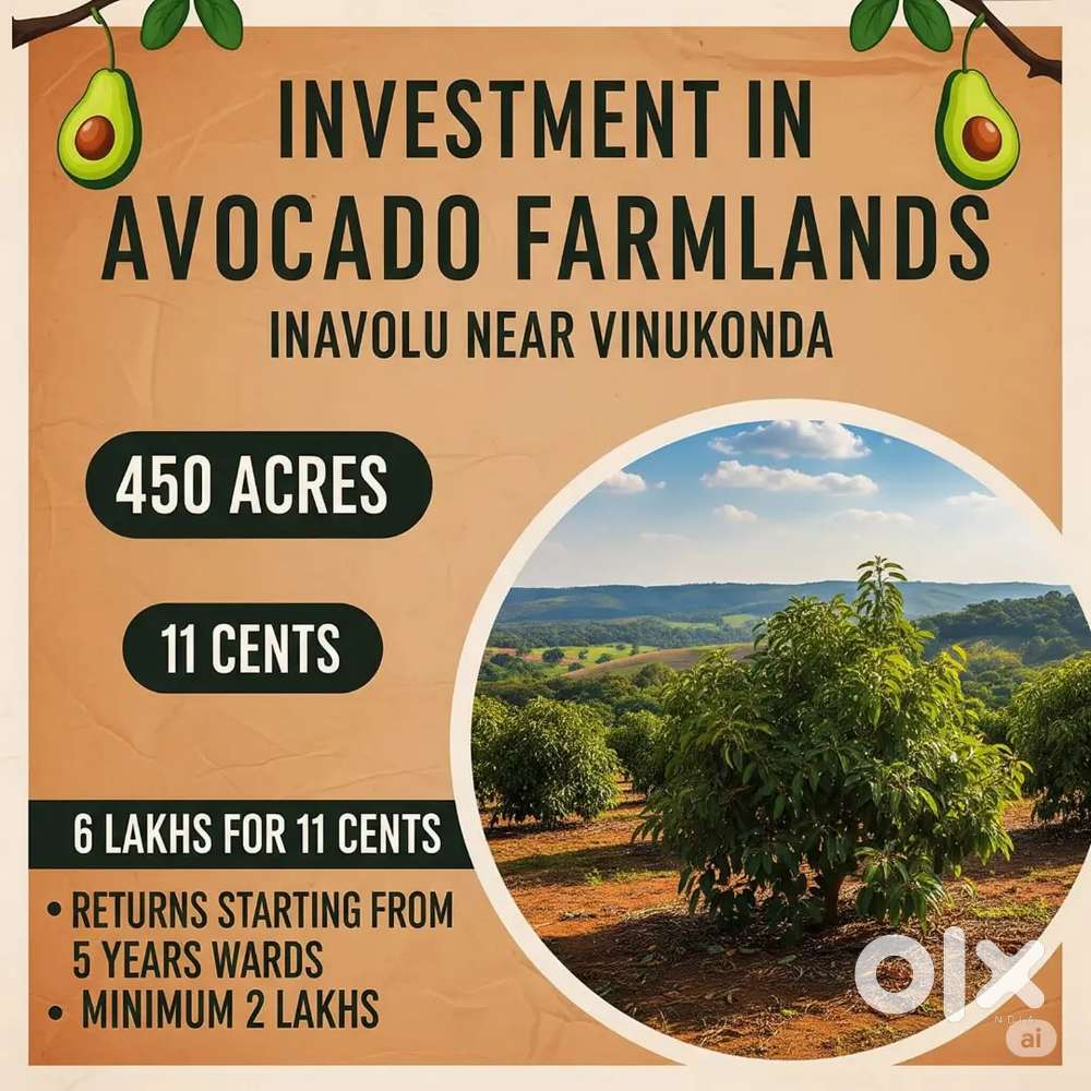Investment grows 3 ways at VINUKONDA-Avocado venture.
