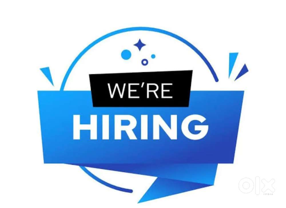 Finance Manager – Chartered Accountant