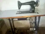Tailor michen big