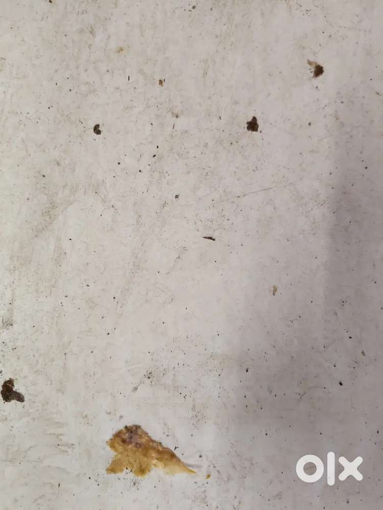 7 cent clear float for sale