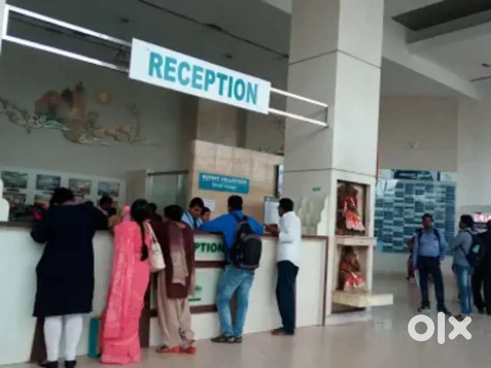 Looking freshers ready for work only girls