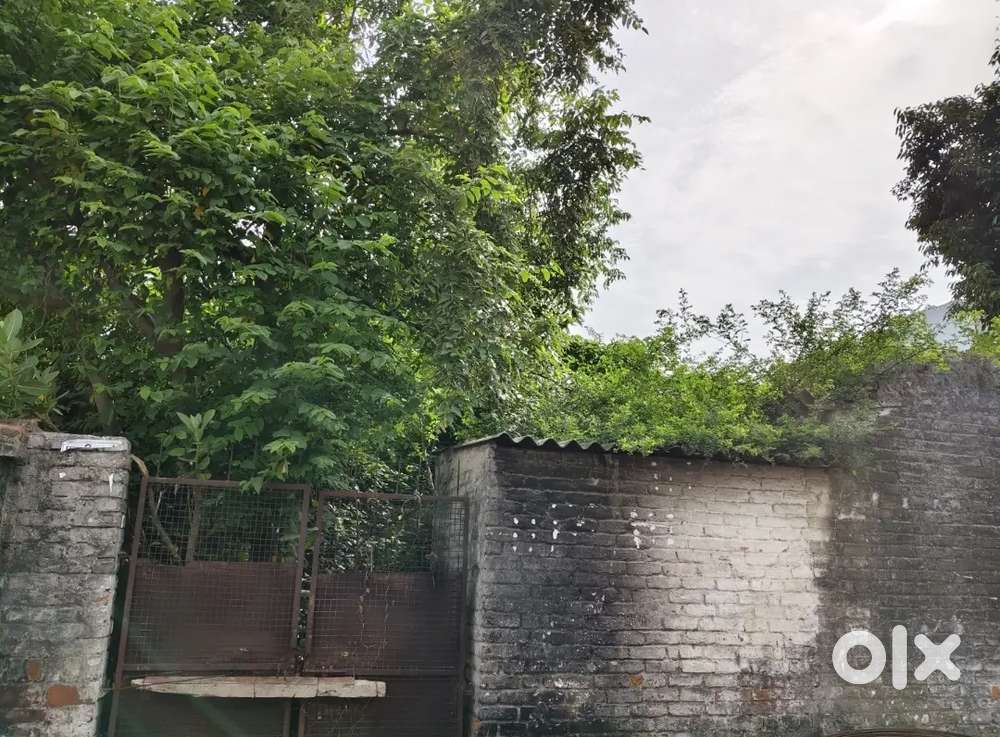 200gaj commerical plot opposite hospital shastri nagar Bareilly