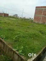 Plot sell all type