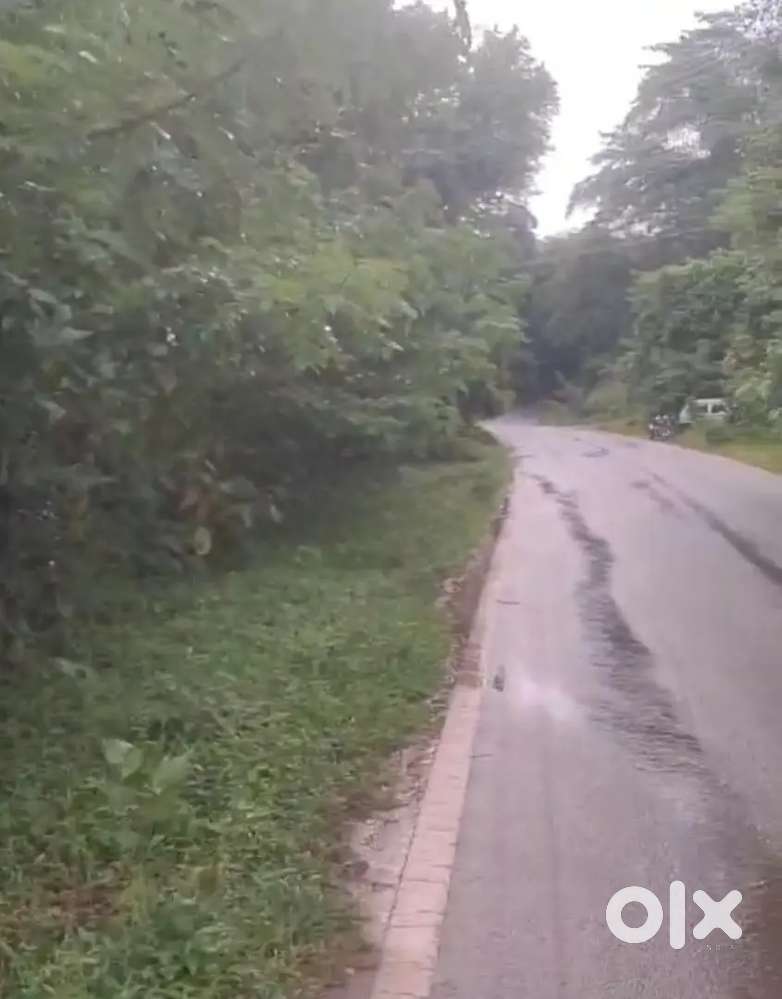 63 cent  road side Plot for sale in good price