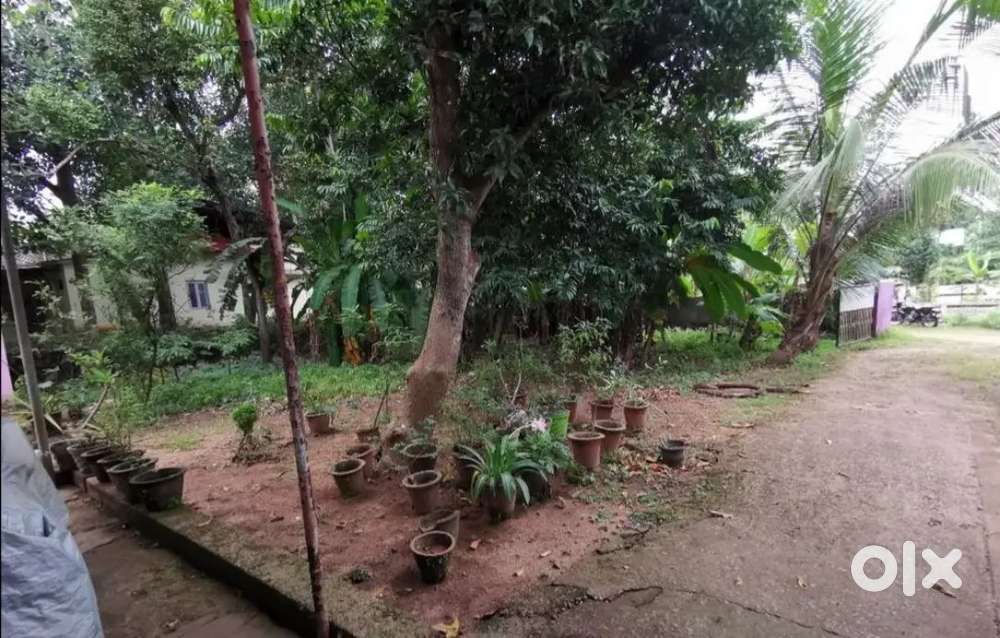 House plot near Munnamkutti, Karicode junctions