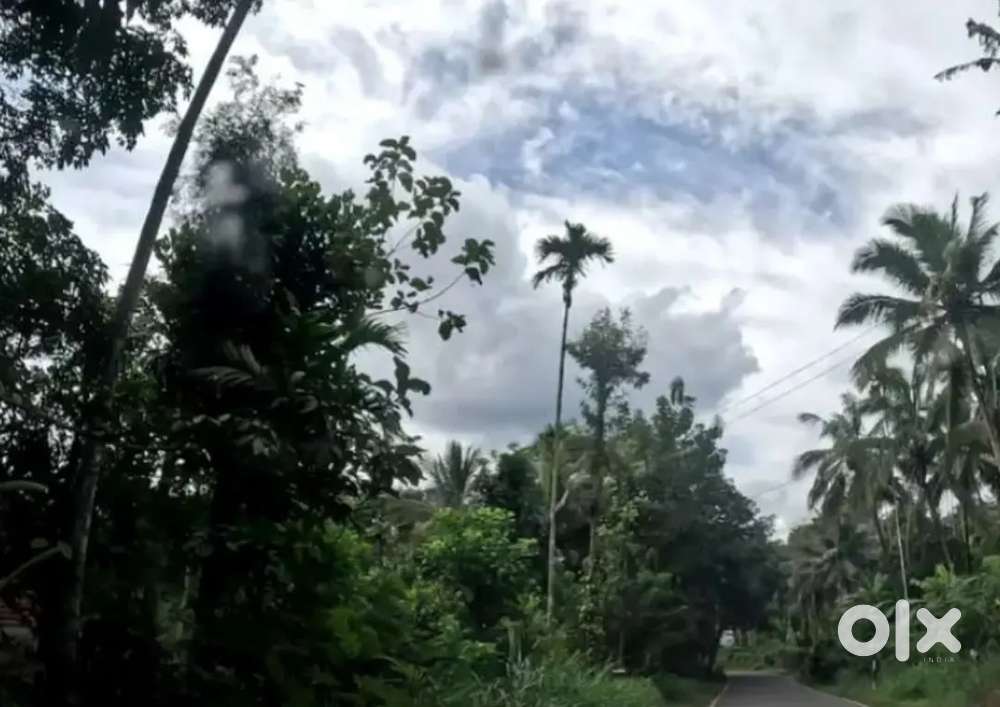 പൂതാടി പഞ്ചായത്തിൽ ഹൈവേ സൈഡിൽ 64 സെൻ്റ് സ്ഥലം വിൽപ്പനയ്ക്ക്