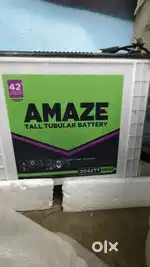 Inverter battery