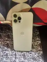 12 pro max