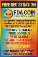 Without investment online work