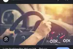 Personal driver private job