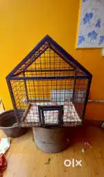 Birds cage