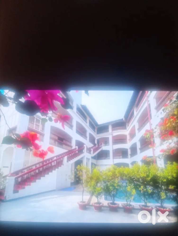 We r looking for a f&b service male candidate ,fresh or experienced