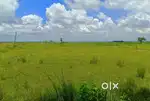 Land For Sell